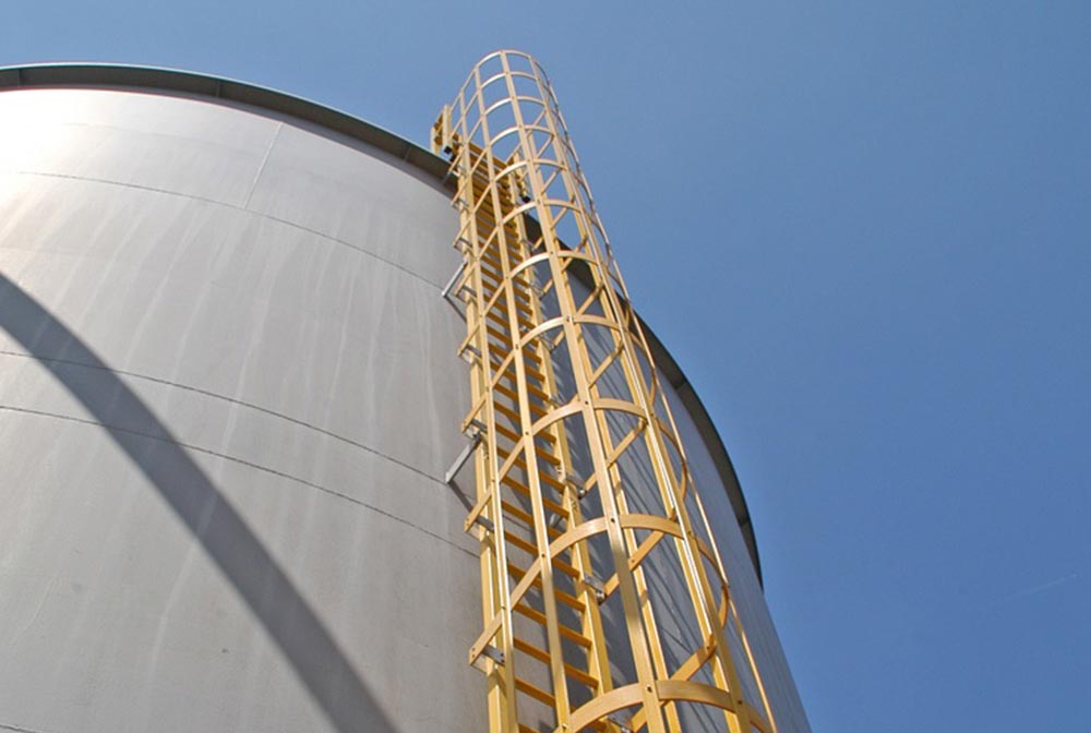 FRP caged ladders