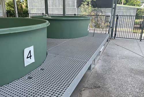 FRP Grating being used in an industrial application