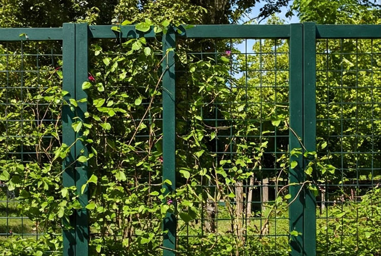 Fiberglass Profile Fence